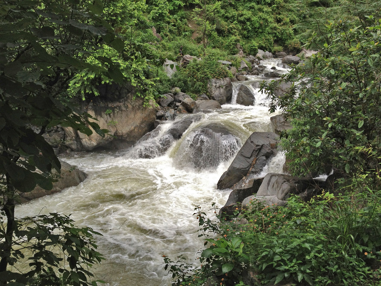 Independence Day Plans - Soulitude Retreat, Nainital
