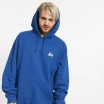 stussy hoodie
