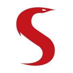 Serpent Consulting Services
