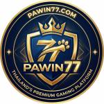 platform pawin77