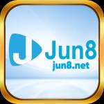 jun8 nett