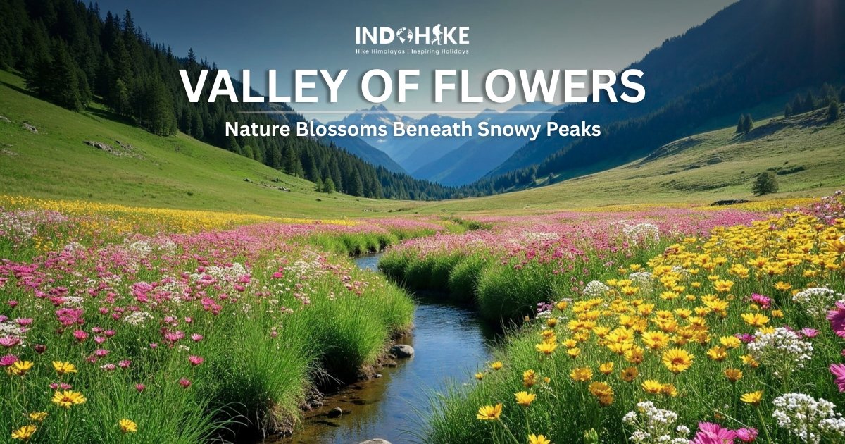Book Valley of Flower Trek 2026 | Limited Season Adventure