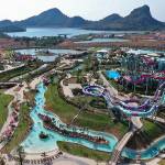 Dolphin Show Pattaya