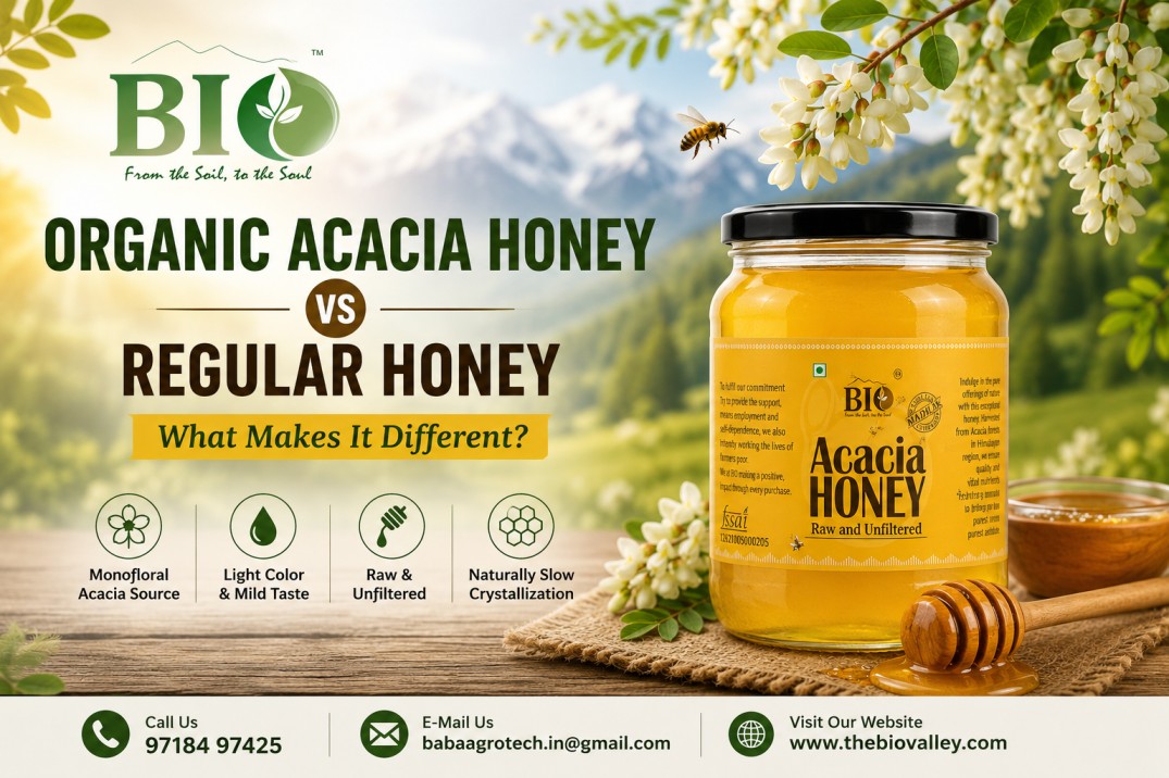 Organic Acacia Honey vs Regular Honey | The Bio Valley
