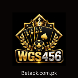 WGS456 Game Latest APK Free Download For Android 2026 - BetApk.com.pk