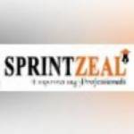 Sprintzeal CCIE