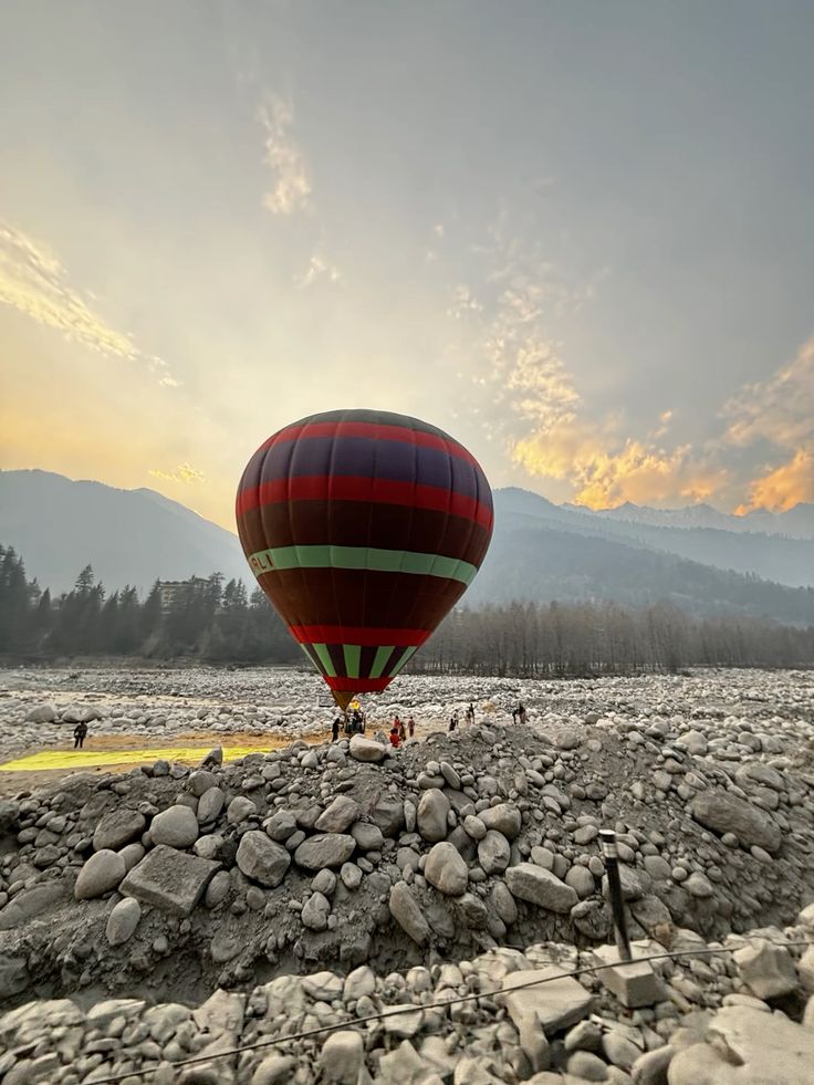 Like Tour & Travels Agency in Chandigarh