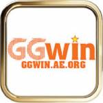 ggwin aeorg