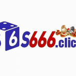 S666 net