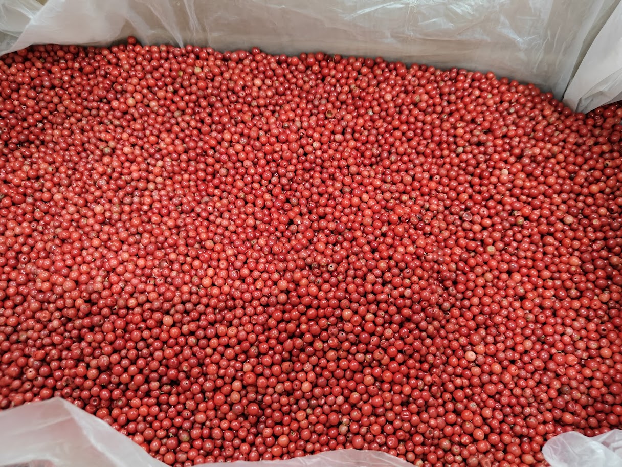 Madagascar's Wholesale Pink Pepper Exporter, Supplier and Dealer
