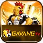 Gavangtv study