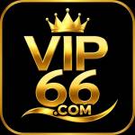 vip66 ink