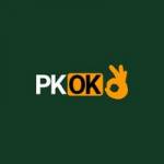 PKOK net
