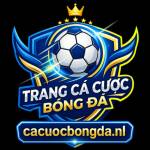 cacuocbongda cacuocbongda