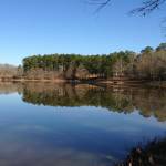 Archana Holly Springs