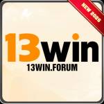 13win forum