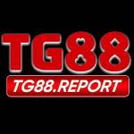TG88 cái TG88