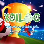 Xoilac 365 Trực Tiếp Bóng Đá