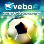 Vebo TV Trực Tiếp Bóng Đá