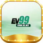 ev99se net