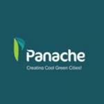 Panache Green