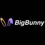 BIGBUNNY 8ph