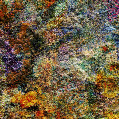 Wall of Nature LV Profile Picture