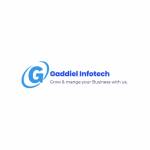 Gaddiel Infotech