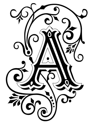 Freelancer Website Developer, Web Designer Near Gurgaon Delhi, India :Anant Gaur