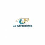 Cary Water Restoration