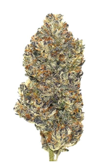 Blue Pave (Ritual Green) Dried Flower - Smoke Show Cannabis