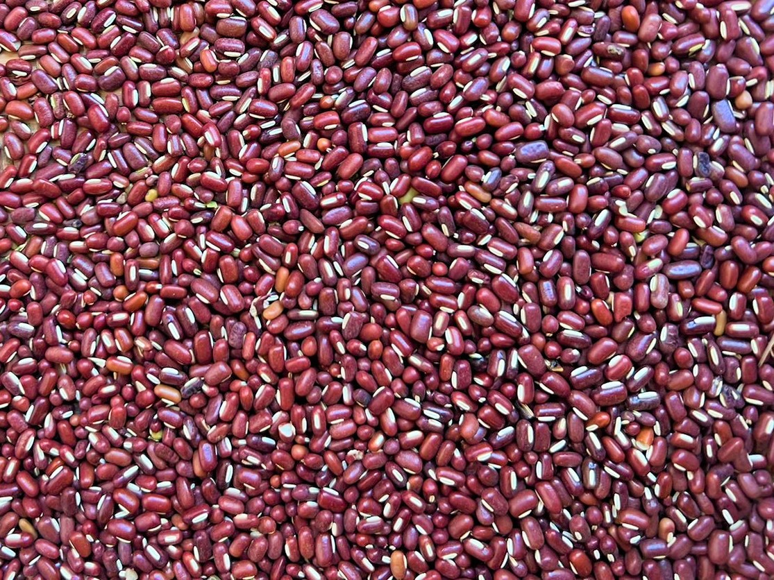 Madagascar's Wholesale Bamboo Adzuki Beans Exporter, Supplier and Dealer