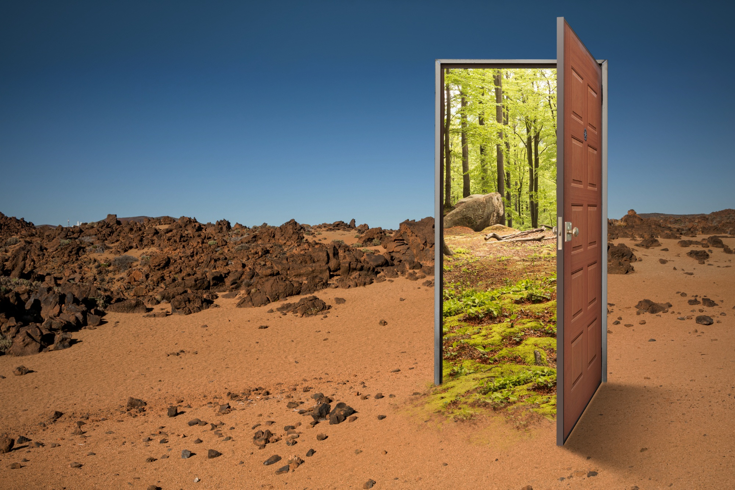 Automatic Doors Supplier & Manufacturer in UAE | Automatic Door Company in UAE – AutomaticDoorsUAE