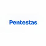 SaaS penetration Testin