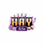HAYWIN