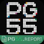 PG55 report