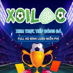 Xoilac 86 Trực Tiếp Bóng Đá