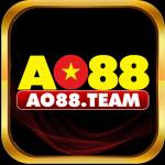 aoteam team