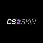 CS2 Skin