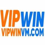 vipwinvm com