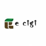 E cigi bolt