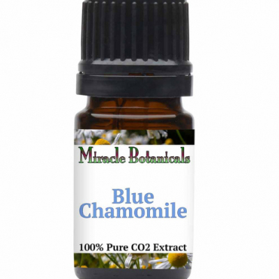 Chamomile (Blue) Essential Oil - CO2 Extracted German Chamomile (Matricaria Chamomilla) Profile Picture