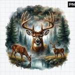 Hunt Nation