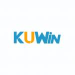Kuwinzz net