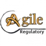 Agile Regulatory