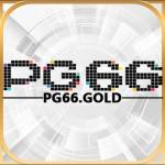 pg66 gold