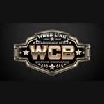 Wrestling Championship Belts