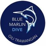 The PADI IDC Gili Trawangan Gili Islands Indonesia