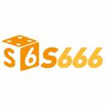S666 ctk