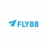 fly88 soccer